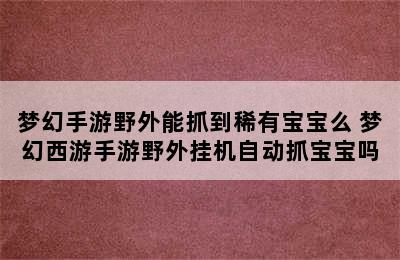 梦幻手游野外能抓到稀有宝宝么 梦幻西游手游野外挂机自动抓宝宝吗